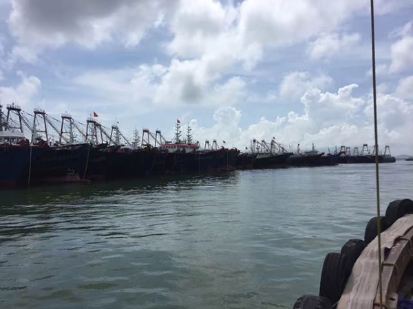 牧童年度公司旅游 牧童年度公司旅游